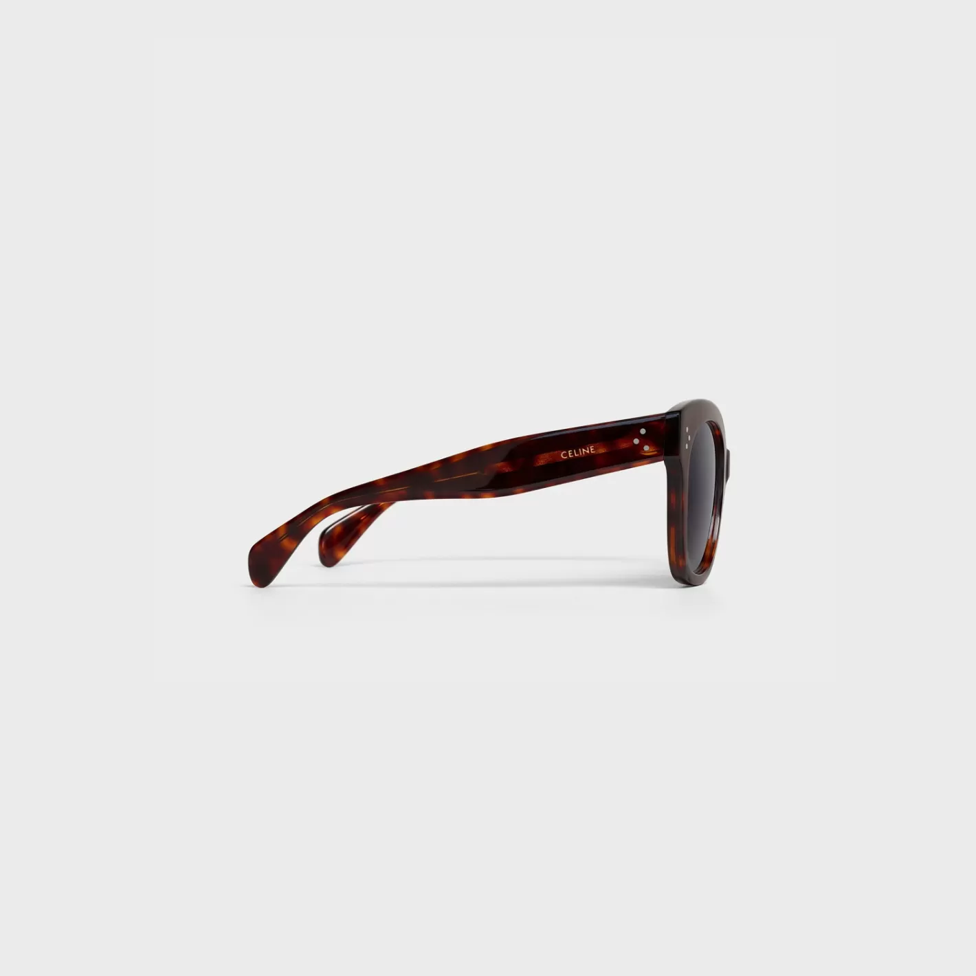Fashion CELINE Oversized S002 Sunglasses in Acetate with Polarized Lenses RedHavana