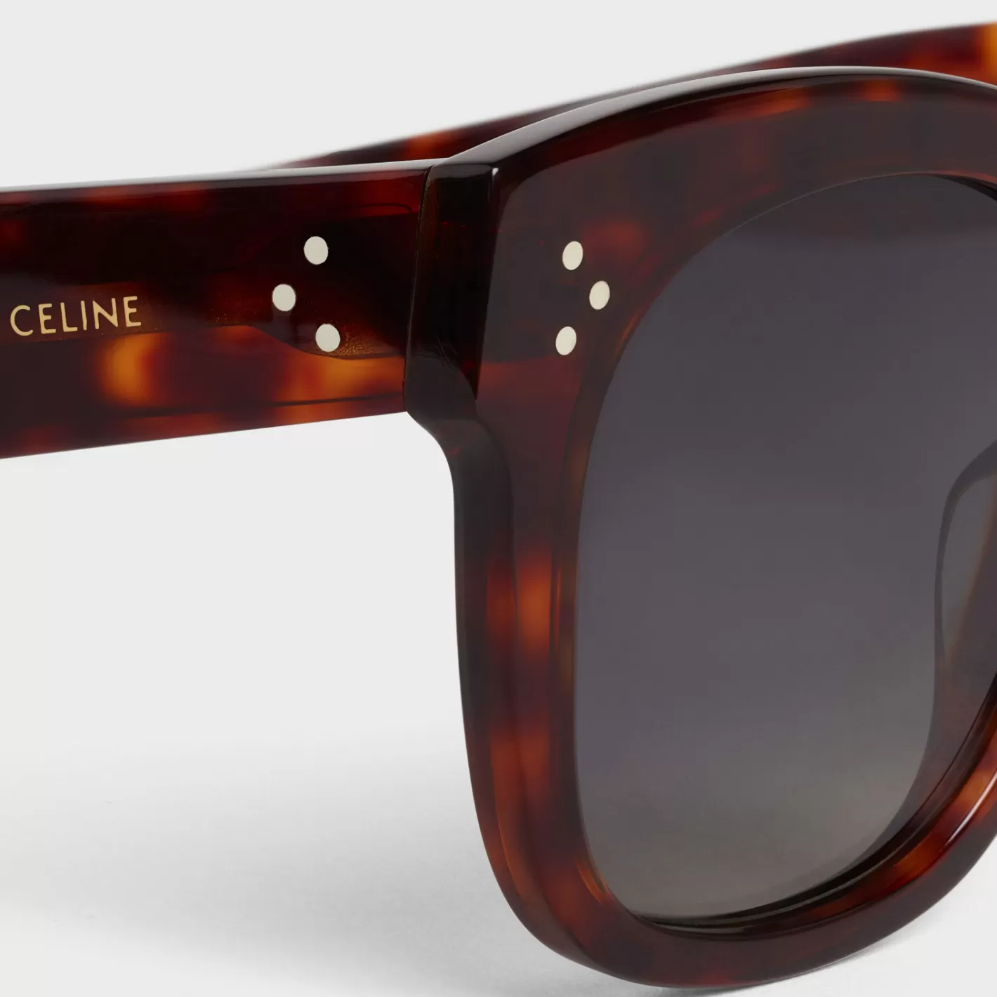 Fashion CELINE Oversized S002 Sunglasses in Acetate with Polarized Lenses RedHavana