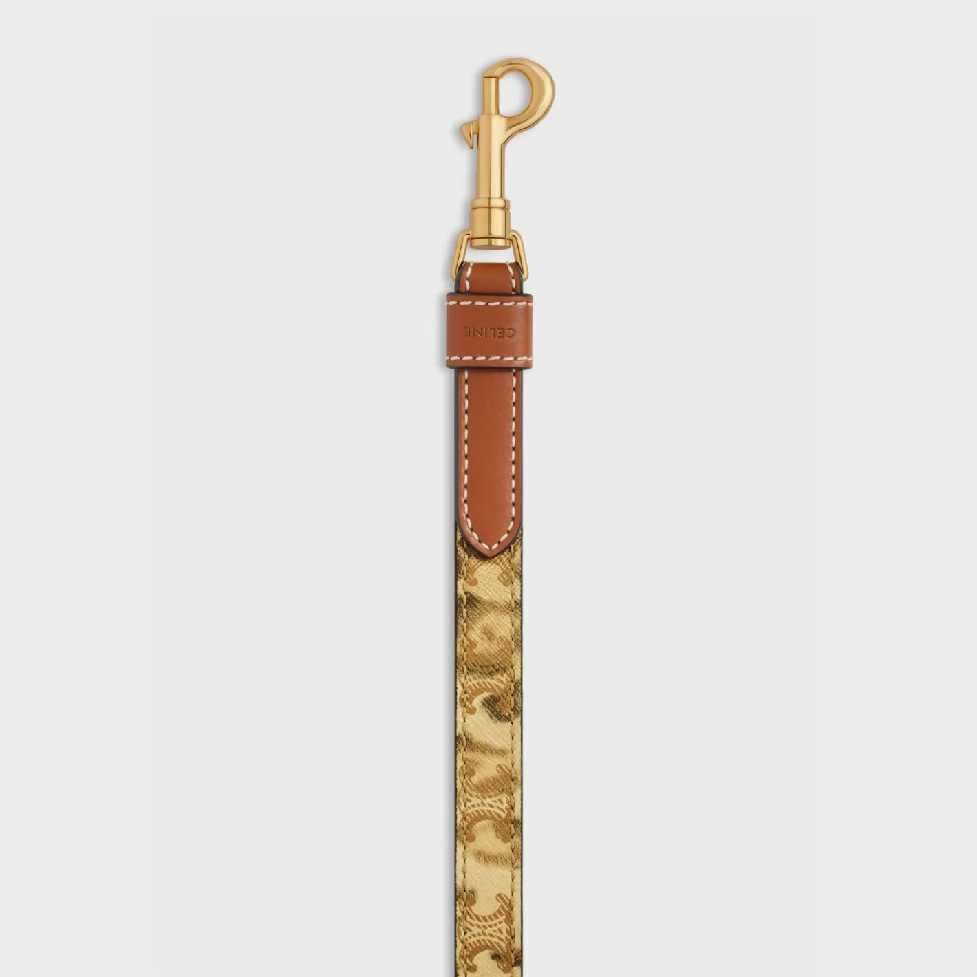 Shop CELINE Thin dog leash in Triomphe canvas with print and calfskin LEOPARD